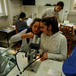 Hanna und Marie vom Ellenrieder Gymnasium testen, ob man mit dem smartphone durch das Okular der Stereolupe Bilder von vergrößerten Wassertieren machen kann.